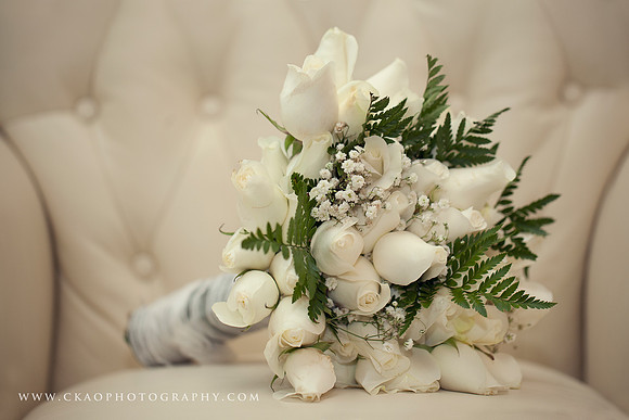 IMG_3773 copy