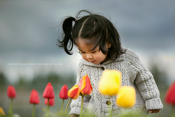 1IMG_3998 copy